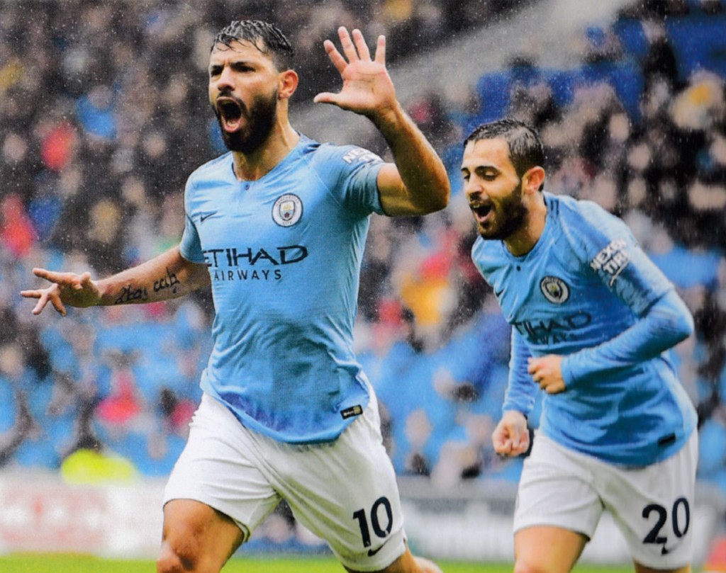 Cardiff City v Manchester City 2018/19