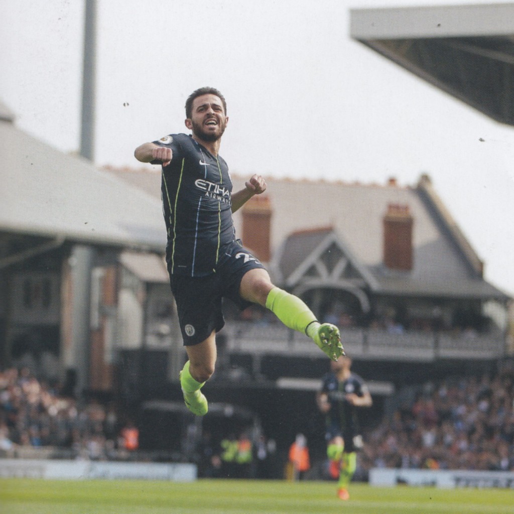 Fulham v Manchester City 2018/19