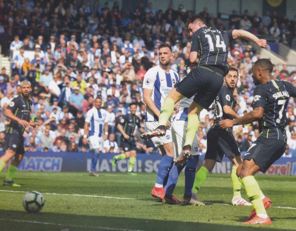 Brighton And Hove Albion v Manchester City 2018/19