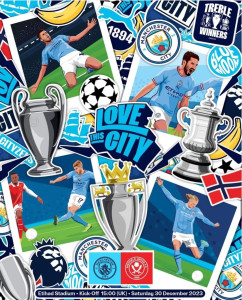 Manchester City v Sheffield United 2023/24