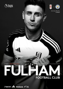 Fulham v Manchester City 2023/24